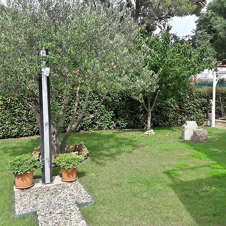 Rotiroti * זאדאר